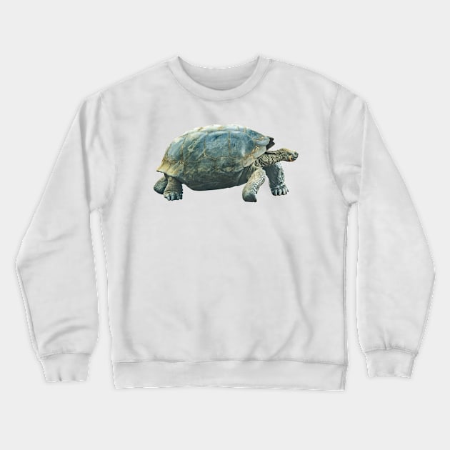 Galapagos Giant Turtle Crewneck Sweatshirt by Endangered Animals